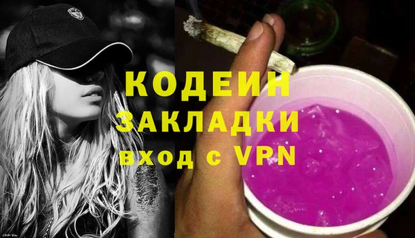 молекула духа Покров