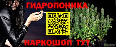 гашик Лесосибирск