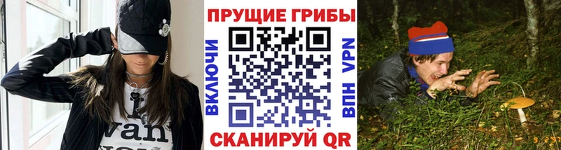 цены наркотик  Елабуга  Псилоцибиновые грибы ЛСД 